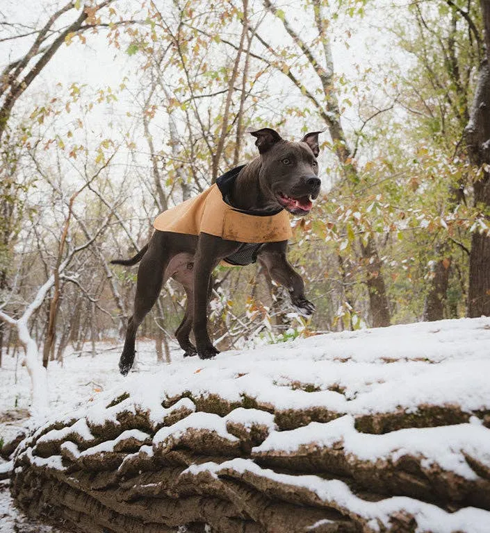 Zee.Dog Beige Coat